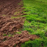 Содержание плодородного гумуса у большинства почв в Казахстане снизилось до 40-45% 