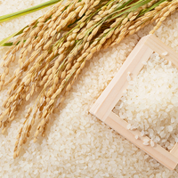 Минсельхоз РФ планирует увеличить производство риса до 2 млн. тонн и вернуться к его экспорту