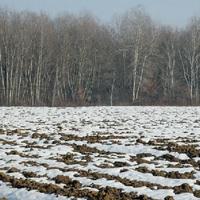Казгидромет: значительное промерзание почвы сохраняется в 7 областях Казахстана 