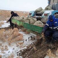 В Казахстане на дне Аральского моря скоро появится саксауловый лес