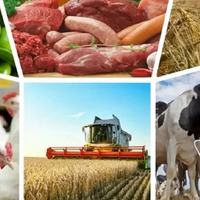 В странах ЕАЭС за 11 месяцев 2023 года производство сельхозпродукции снизилось на 2,2% В странах ЕАЭС за 11 месяцев 2023 года производство сельхозпродукции снизилось на 2,2%