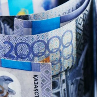 Казахстан: на развитие АПК дополнительно будет выделено 240 млрд. тенге