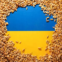 Еврокомиссия готова разрешить пяти странам ограничивать импорт украинской сельхозпродукции