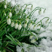Не 1 марта: синоптики Казгидромета рассказали, когда придет весна в Казахстан