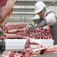 В 2024 году экспорт говядины из России вырастет на 11% 