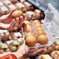 Торгуют в убыток? Поставки в Россию яиц из-за рубежа привели к снижению цен в супермаркетах