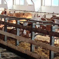 Эксперты из Китая проведут аудит казахстанской ветеринарной системы 