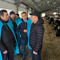 Какая задолженность по субсидиям нависла перед фермерами Восточно-Казахстанской области? 