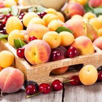 Какие условия поставило Главное таможенное управление Китая для экспорта косточковых культур из Казахстана? 