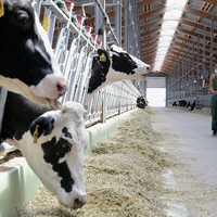 С начала года объем валовой продукции сельского хозяйства в Казахстане составил 8,2 трлн. тенге С начала года объем валовой продукции сельского хозяйства в Казахстане составил 8,2 трлн. тенге