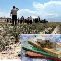 Пострадавшим от засухи жамбылским фермерам выплатили уже 1 млрд. тенге