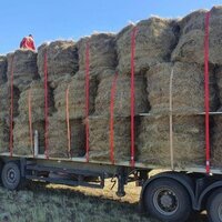 В регионах Казахстана заготовлено 24,7 млн. тонн кормов, это 99% необходимого объема на зиму