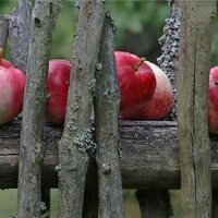 Минсельхоз: в Казахстане будет проведена инвентаризация дач и земельных участков Минсельхоз: в Казахстане будет проведена инвентаризация дач и земельных участков