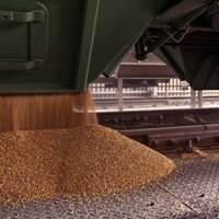 Отгрузка казахстанского зерна в Китай выросла в 4 раза, до 1,5 млн. тонн