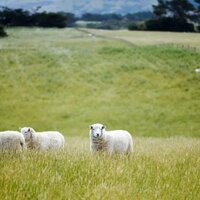 В Павлодарской области стоимость аренды земельного участка занизили в 833 раза 