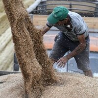 С 22 ноября Россия снизит размер пошлины на экспорт пшеницы на 3,3%