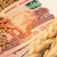 Экспортная пошлина российской пшеницы снизится на 7,6%, ячменя - обнулится