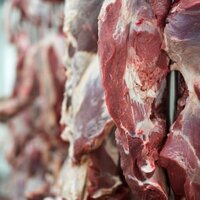 В Казахстане за 10 месяцев производство мяса увеличилось на 10,4%