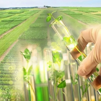 В Казахстане обеспеченность семенами отечественной селекции составляет менее 10%