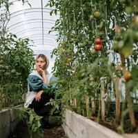 В Казахстане 605 фермерских теплиц получили сертификат соответствия Национальному стандарту