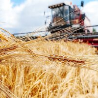 99,1%: казахстанские аграрии на 21 ноября намолотили 16,5 млн. тонн зерна при урожайности 9,7 ц/га