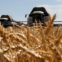 На финишной прямой: казахстанские аграрии обмолотили 98,7% зерновых площадей