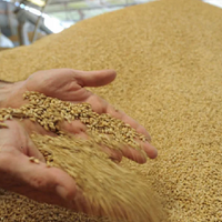 Китай и Россия подписали крупнейшую в истории отношений двух стран 