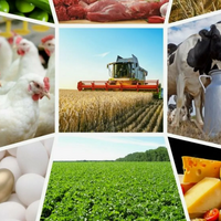 Казахстан увеличил товарооборот сельхозпродукции со странами ШОС до 7,7 млрд. долларов