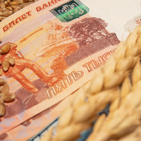 Пошлина на экспорт пшеницы из России с 6 мая снизится на 1,7%