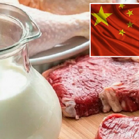 Китай вводит ограничения на производство мяса и молочных продуктов для стабилизации падающих цен 