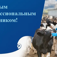Сегодня в Казахстане впервые отмечается День ветеринарного работника 
