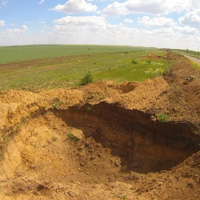 Казахстан: компания заплатила штраф в 22 млн. тенге за снятие плодородного слоя земли Казахстан: компания заплатила штраф в 22 млн. тенге за снятие плодородного слоя земли