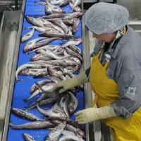 Субсидирование переработки рыбной продукции введут в Казахстане с января 2025 года Субсидирование переработки рыбной продукции введут в Казахстане с января 2025 года