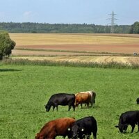 Более 73 000 гектаров земли возвращено в государственную собственность в Жамбылской области 