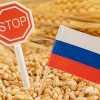 Решение Евросоюза о запретительных пошлинах на импорт зерна из России и Белоруссии вступило в силу
