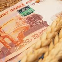 Пошлина на экспорт пшеницы из России с 27 ноября повысится на 12,3%