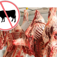 Казахстан временно запретил ввоз говядины из Бразилии