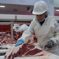 Россельхознадзор: Россия и Казахстан обсудили отмену ограничительных мер в животноводстве