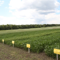 Право на существование»: депутаты Мажилиса предложили увеличить земельный фонд казахстанских СХОС