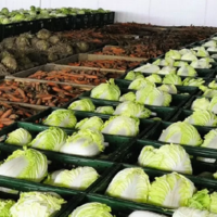 В Казахстане до конца 2025 года планируется дополнительно построить овощехранилищ на 135 тыс. тонн 