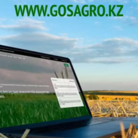 Статус «к оплате»: заявки на субсидирование на 6,1 млрд. тенге находятся в «листе ожидания»