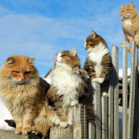 +25°С и –23°С: температурные рекорды марта в Казахстане 