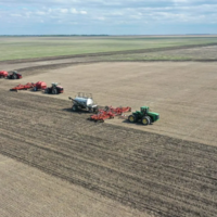 Что посеешь: в Казахстане в 2023 году будет посеяно больше риса, овощей и кормовых культур, но меньше — хлопчатника и льна 