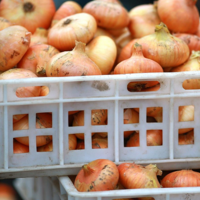 Таджикистан поставит в Казахстан 6 тысяч тонн лука в межсезонье