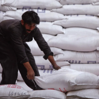 За 5 месяцев 2022/23 МГ Казахстан экспортировал в Афганистан 621,9 тыс. тонн пшеничной муки