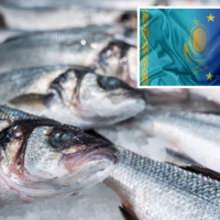 Казахстан готов поставлять на европейский рынок рыбу, мед, конину, говядину и молочные товары