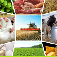 В Казахстане в 2022 году объем продукции сельского хозяйства увеличился на 9,1% и составил 9,3 трлн. тенге