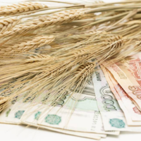 Минсельхоз России скорректирует экспортные пошлины для снижения нагрузки на зерновые хозяйства