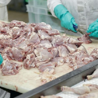 В 2023 году мировой спрос на мясо птицы вырастет на 7% 