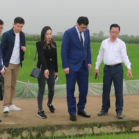 Шесть сортов риса из Вьетнама будут возделываться в Казахстане 